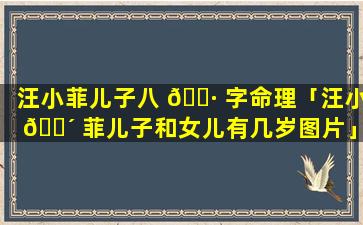 汪小菲儿子八 🌷 字命理「汪小 🌴 菲儿子和女儿有几岁图片」